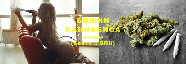 ГАЛЛЮЦИНОГЕННЫЕ ГРИБЫ Алзамай