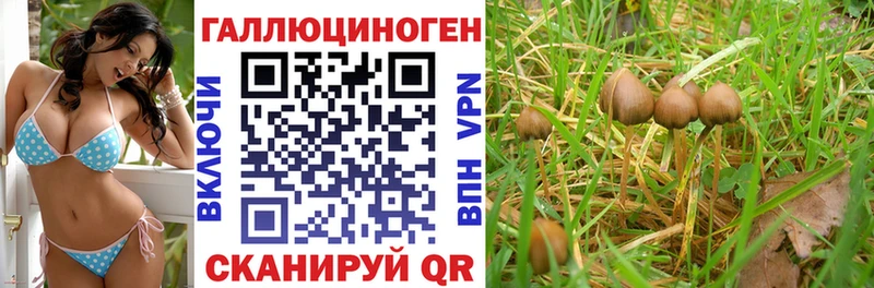 Галлюциногенные грибы MAGIC MUSHROOMS Малаховка
