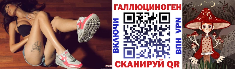 Псилоцибиновые грибы GOLDEN TEACHER  маркетплейс как зайти  Малаховка  купить наркотики цена 
